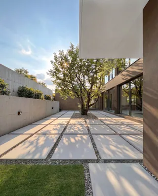 Visualização do caminho de entrada sombreado e oliveira em Palmares — LT73